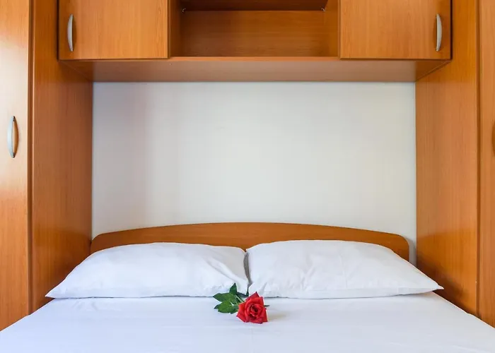 La Bodega טרוגיר